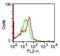 Neural Cell Adhesion Molecule 1 antibody, orb388502, Biorbyt, Flow Cytometry image 