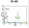 Calpain 3 antibody, LS-C168301, Lifespan Biosciences, Flow Cytometry image 
