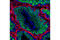 Piwi Like RNA-Mediated Gene Silencing 1 antibody, 2079S, Cell Signaling Technology, Flow Cytometry image 