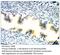 TIMELESS Interacting Protein antibody, MBS540374, MyBioSource, Immunohistochemistry frozen image 