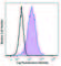 Interleukin 17 Receptor B antibody, 146303, BioLegend, Flow Cytometry image 