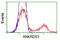 Ankyrin Repeat Domain 53 antibody, TA502505, Origene, Flow Cytometry image 