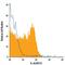 Interleukin-26 antibody, MA5-23643, Invitrogen Antibodies, Flow Cytometry image 