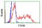 Follicle Stimulating Hormone Subunit Beta antibody, LS-C115565, Lifespan Biosciences, Flow Cytometry image 