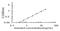 Synaptosome Associated Protein 25 antibody, OKEH03377, Aviva Systems Biology, Enzyme Linked Immunosorbent Assay image 