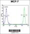 SEL1L Adaptor Subunit Of ERAD E3 Ubiquitin Ligase antibody, 55-340, ProSci, Flow Cytometry image 
