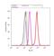 S100 Calcium Binding Protein A6 antibody, 720326, Invitrogen Antibodies, Flow Cytometry image 