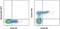 CD244 Molecule antibody, 17-5837-41, Invitrogen Antibodies, Flow Cytometry image 