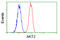 AKT Serine/Threonine Kinase 2 antibody, LS-C114858, Lifespan Biosciences, Flow Cytometry image 