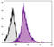 Integrin Subunit Beta 2 antibody, 98-655, ProSci, Enzyme Linked Immunosorbent Assay image 