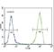 Fms Related Tyrosine Kinase 3 antibody, LS-C97535, Lifespan Biosciences, Flow Cytometry image 