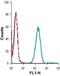 Sortilin 1 antibody, GTX54854, GeneTex, Flow Cytometry image 