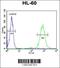 CD69 Molecule antibody, 61-918, ProSci, Flow Cytometry image 