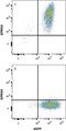 Adhesion G Protein-Coupled Receptor G2 antibody, AF7977, R&D Systems, Flow Cytometry image 