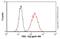 TEK Receptor Tyrosine Kinase antibody, ab24859, Abcam, Flow Cytometry image 