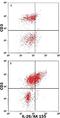 Interleukin 26 antibody, IC13751P, R&D Systems, Flow Cytometry image 