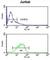 Insulin Like Growth Factor Binding Protein Acid Labile Subunit antibody, abx033425, Abbexa, Western Blot image 