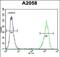 RAB10, Member RAS Oncogene Family antibody, PA5-71649, Invitrogen Antibodies, Flow Cytometry image 