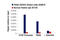 Paired Box 8 antibody, 59019S, Cell Signaling Technology, Chromatin Immunoprecipitation image 