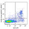 C-C Motif Chemokine Receptor 2 antibody, 150605, BioLegend, Flow Cytometry image 