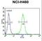 Class E basic helix-loop-helix protein 41 antibody, LS-C156808, Lifespan Biosciences, Flow Cytometry image 