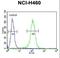 Basic Helix-Loop-Helix Family Member E41 antibody, LS-C156808, Lifespan Biosciences, Flow Cytometry image 