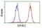 Eukaryotic Translation Initiation Factor 4E Family Member 2 antibody, NBP2-03611, Novus Biologicals, Flow Cytometry image 