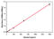 Interleukin 2 antibody, EH2IL25, Invitrogen Antibodies, Enzyme Linked Immunosorbent Assay image 