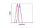 Cathepsin D antibody, 2284S, Cell Signaling Technology, Flow Cytometry image 