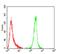 Erb-B2 Receptor Tyrosine Kinase 4 antibody, NBP2-52462, Novus Biologicals, Flow Cytometry image 