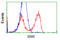 Serine Racemase antibody, LS-C115025, Lifespan Biosciences, Flow Cytometry image 