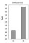 RB Binding Protein 4, Chromatin Remodeling Factor antibody, MA1-23273, Invitrogen Antibodies, Chromatin Immunoprecipitation image 