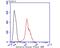 PTTG1 Regulator Of Sister Chromatid Separation, Securin antibody, NBP2-75659, Novus Biologicals, Flow Cytometry image 