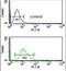 Cell Division Cycle 14B antibody, PA5-26090, Invitrogen Antibodies, Flow Cytometry image 