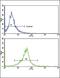 Calcium Voltage-Gated Channel Auxiliary Subunit Gamma 5 antibody, PA5-13581, Invitrogen Antibodies, Flow Cytometry image 