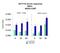 Enhancer Of Zeste 1 Polycomb Repressive Complex 2 Subunit antibody, PA5-40850, Invitrogen Antibodies, Chromatin Immunoprecipitation image 