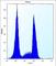 Olfactory Receptor Family 10 Subfamily G Member 9 antibody, abx027145, Abbexa, Western Blot image 