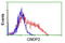 Carnosine Dipeptidase 2 antibody, LS-C173113, Lifespan Biosciences, Flow Cytometry image 