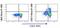 Beta-1,3-Glucuronyltransferase 1 antibody, FC09548, Boster Biological Technology, Flow Cytometry image 