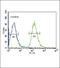 Albumin antibody, PA5-13476, Invitrogen Antibodies, Flow Cytometry image 