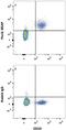 Paired Box 5 antibody, MAB3487, R&D Systems, Flow Cytometry image 