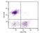 CD5 Molecule antibody, NBP1-26707, Novus Biologicals, Flow Cytometry image 