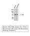 Keratin 8 antibody, STJ96957, St John