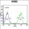 SH3 Domain And Tetratricopeptide Repeats 1 antibody, PA5-48400, Invitrogen Antibodies, Flow Cytometry image 