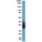 Napsin A Aspartic Peptidase antibody, M05685-3, Boster Biological Technology, Western Blot image 