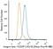 Integrin Subunit Beta 1 antibody, NB100-63255, Novus Biologicals, Flow Cytometry image 