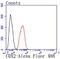 Caudal Type Homeobox 2 antibody, NBP2-66769, Novus Biologicals, Flow Cytometry image 