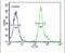 Tetraspanin 3 antibody, PA5-25472, Invitrogen Antibodies, Flow Cytometry image 