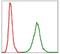 Nfl antibody, NBP2-37528, Novus Biologicals, Flow Cytometry image 