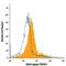 TNF Receptor Superfamily Member 4 antibody, PA5-46893, Invitrogen Antibodies, Flow Cytometry image 